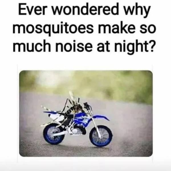 1623572491_5dwohoe9id.jpg