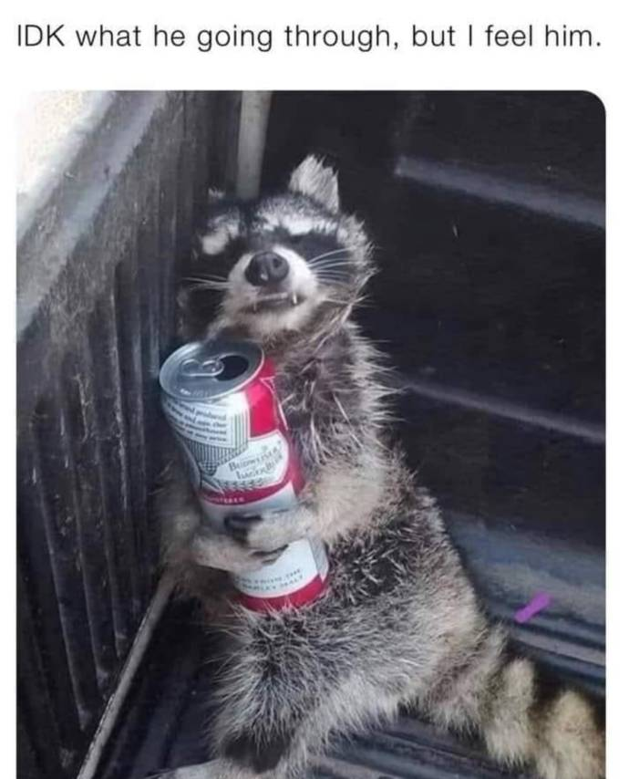 1623672352465.png