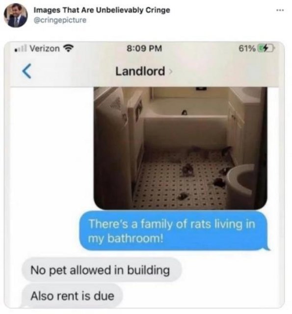 1623673204702.jpeg