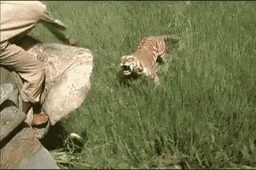1623692384762.gif