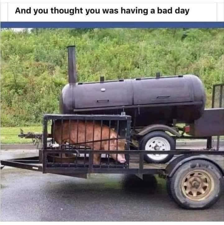 1623846550584.png