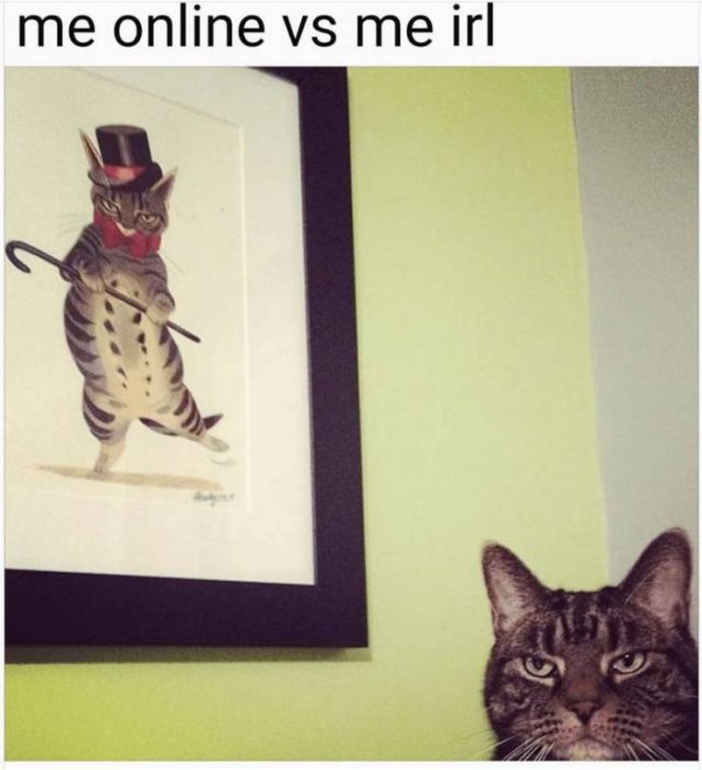 1623864296_j9e9y40qr9.jpg