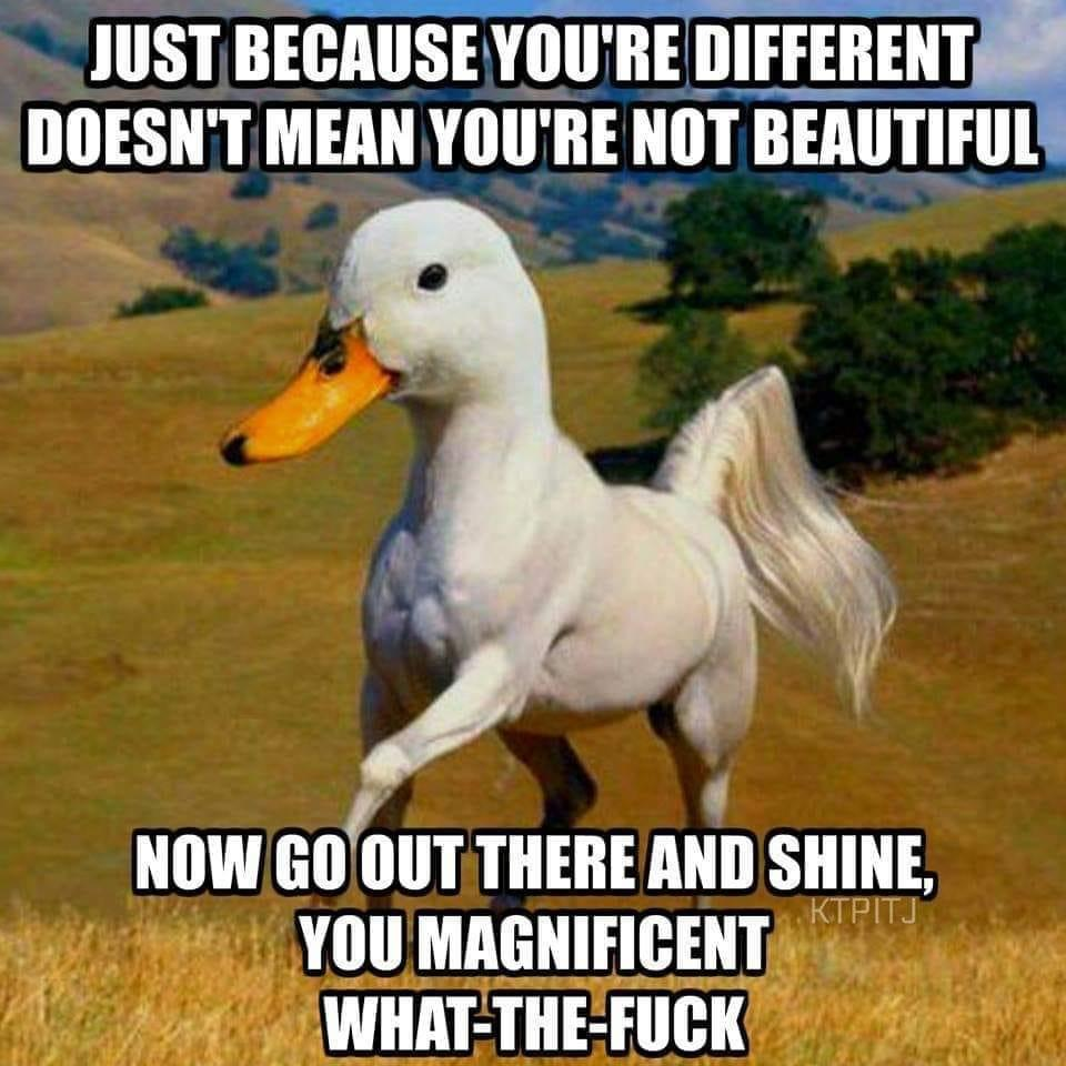 1624045390443.png