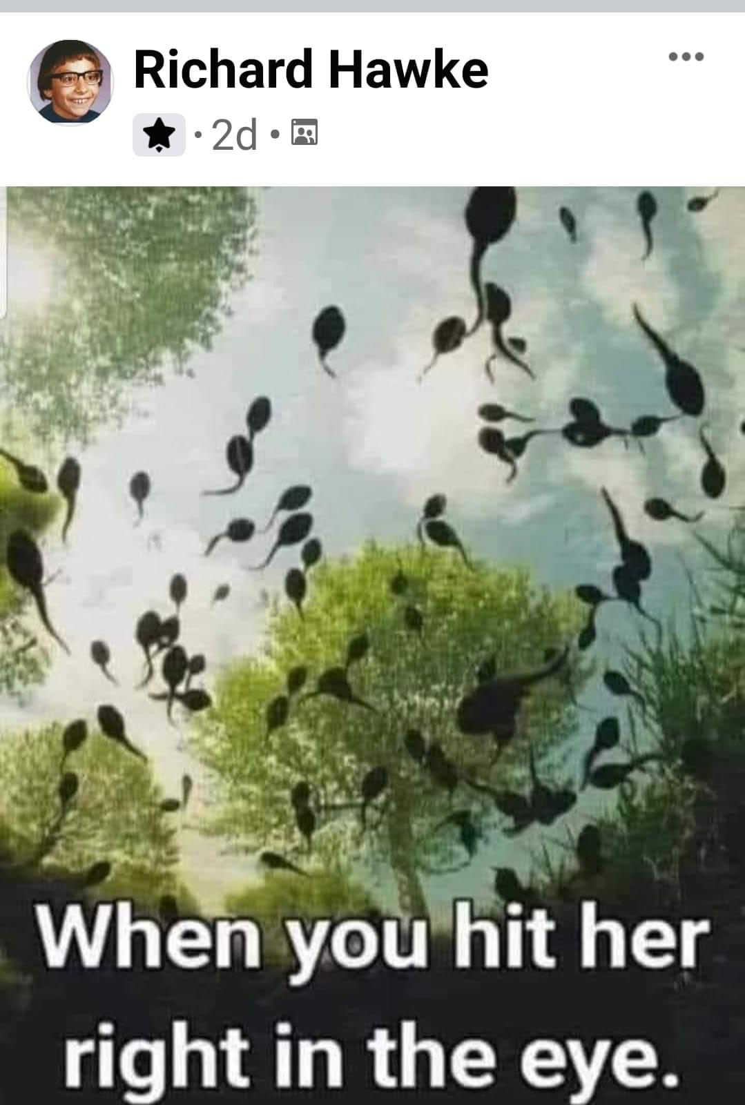 1624216071077.png