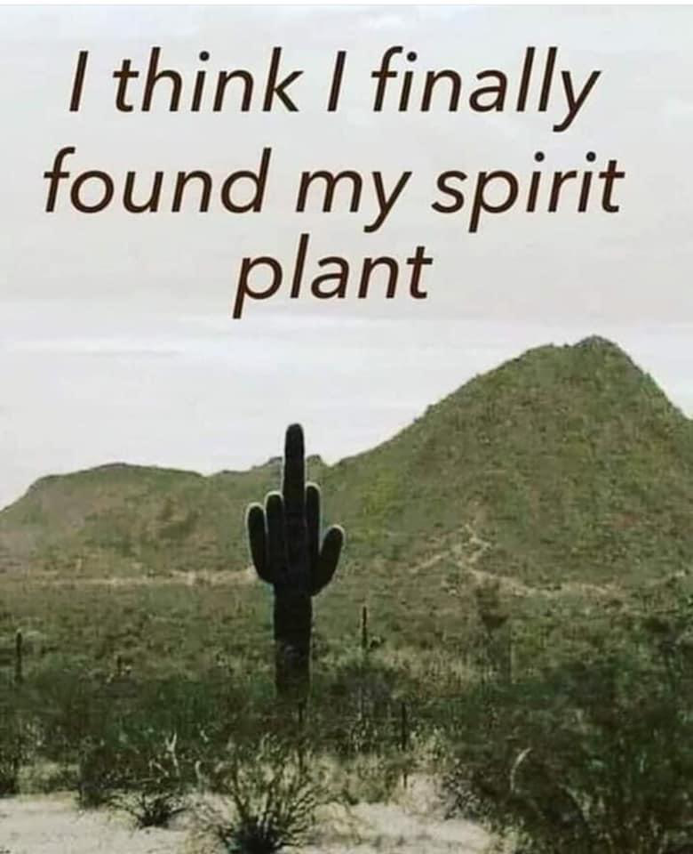 1624247249934.png