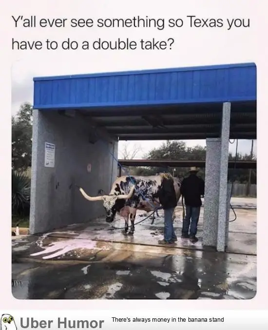 1624272463151.png