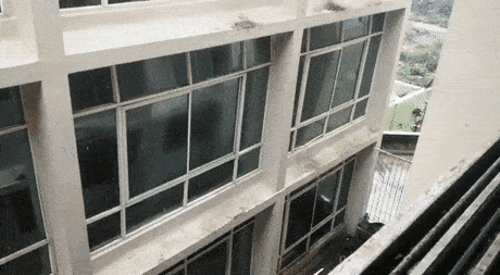 1624813259_b4g5bdrb56.gif