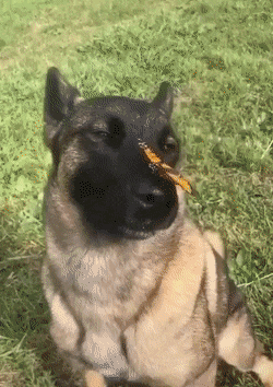 1624828026769.gif