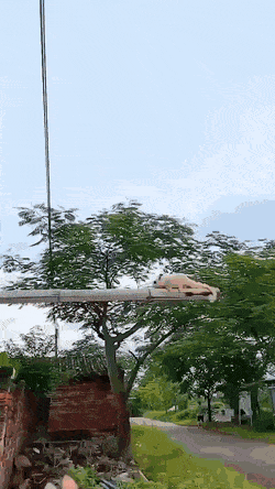 1624990850_htud8s2aj0.gif