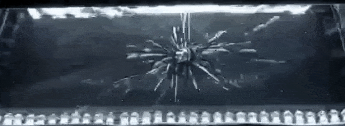 1624990911_r7b7waj7hj.gif