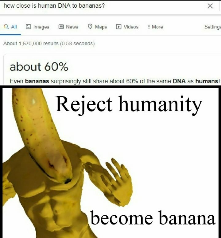 1625008000875.png