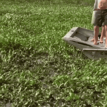 1625069548_lgxjuc6al6.gif