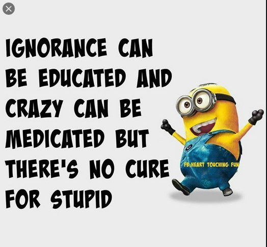 1625390312026.png