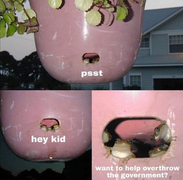1625755328_qdzt3jyusw.jpg