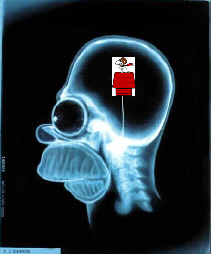 1626987608940.png