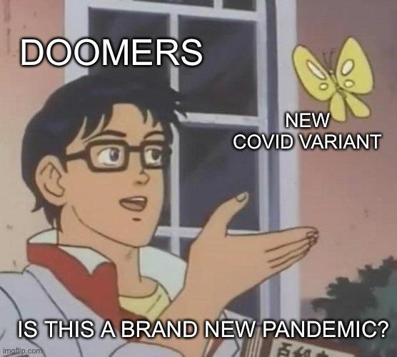 1627005173028.png