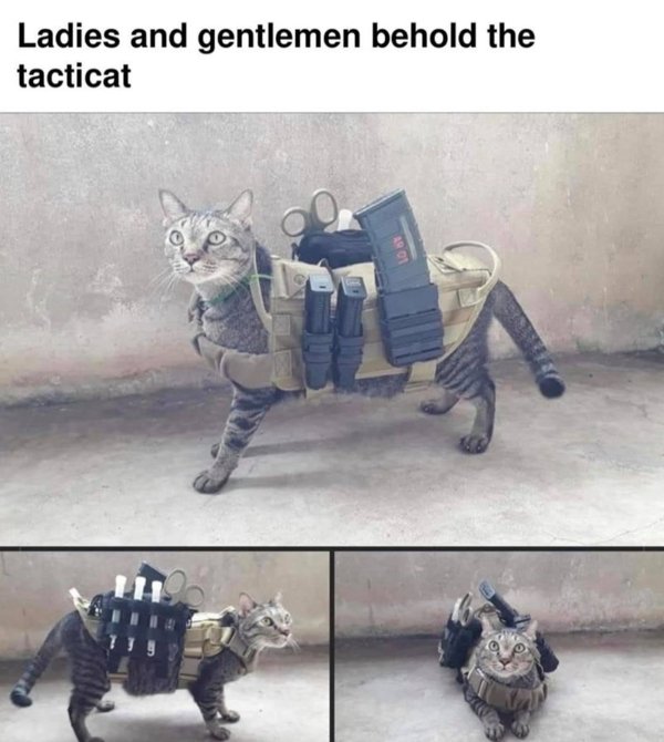 1627237421_mpnm86setc.jpg