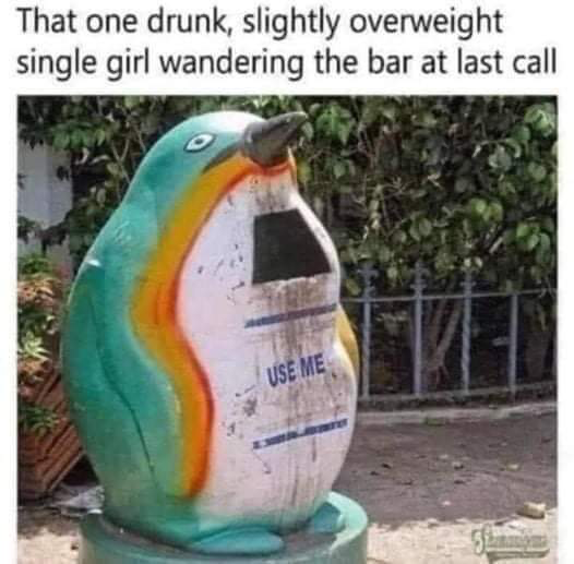 1627307659599.png