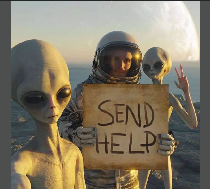1627586917121.png