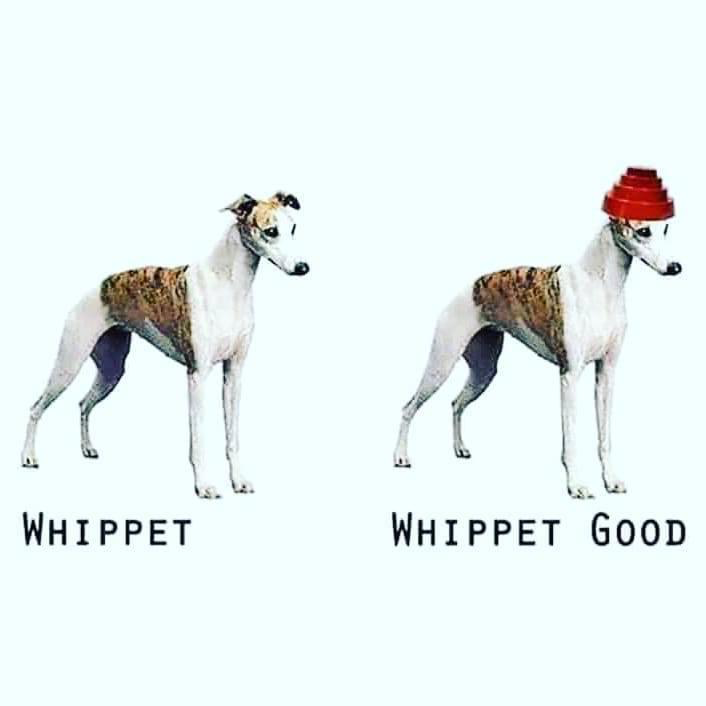 1627852568903.png