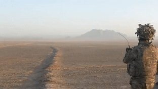 1627922963_204qmvet48.gif