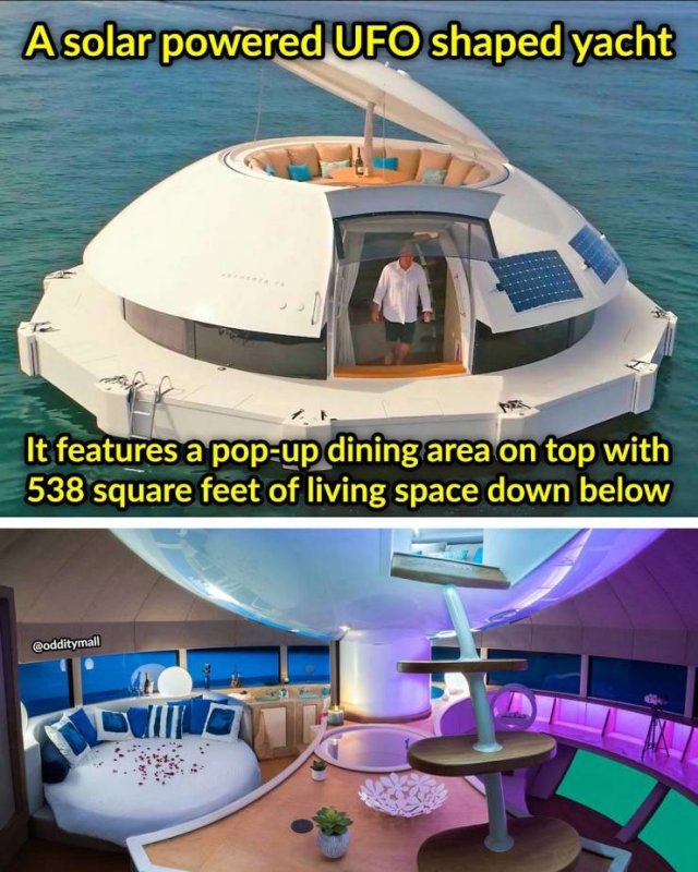 1628081653_em50in00nw.jpg