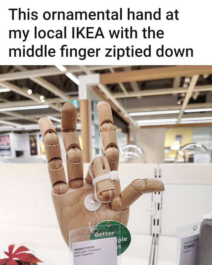 1628146544323.png