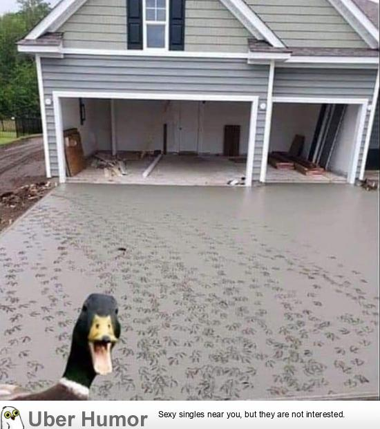 1628488878075.png