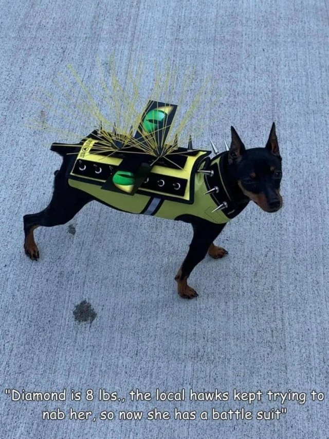 1628510821627.png