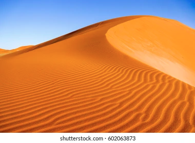 1628571213266.png