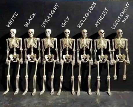 1628719295441.png