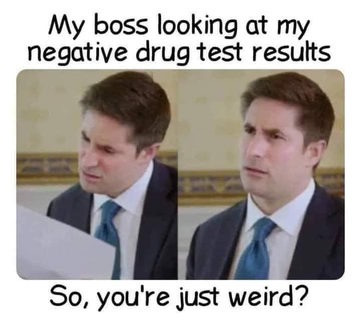 1629006552235.png