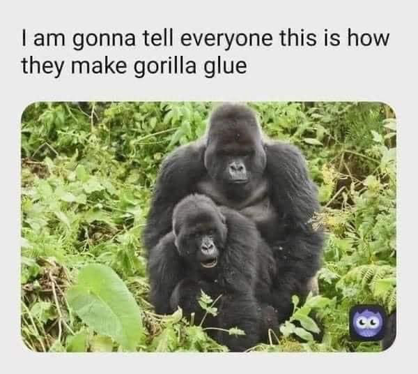 1629039819270.png