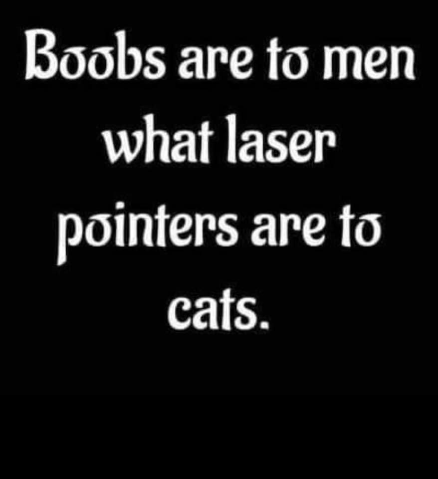 1629078359769.png