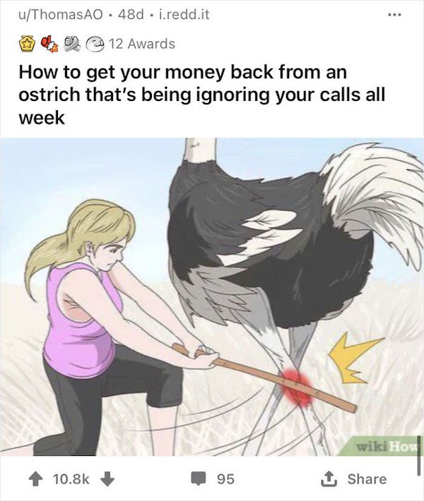 1629134865_z4hxpm5w0h.jpg