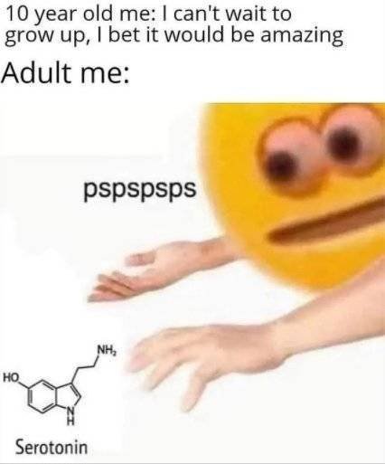 1629553019_yn76o8f78p.jpg