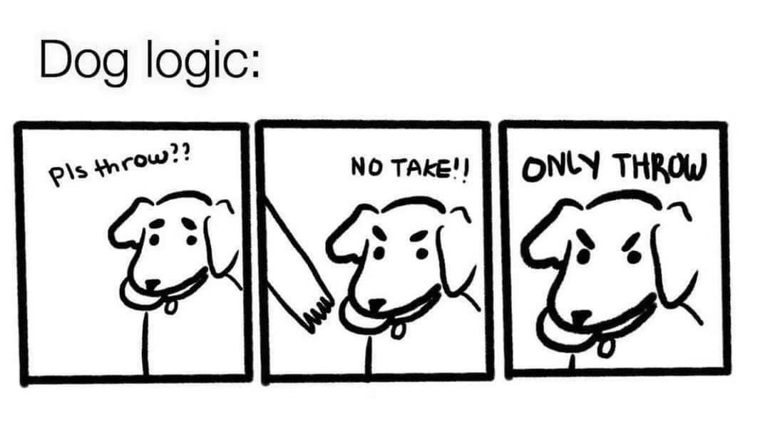 1629986054887.png
