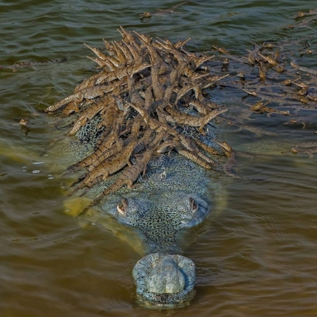 1630047598391.png