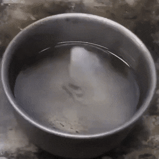 1630218394_mt4pcgotn6.gif
