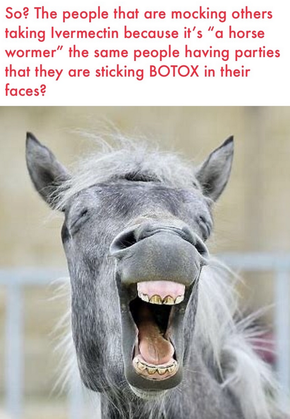 1630363043984.png