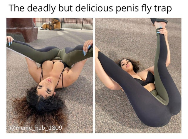 1630458521990.png