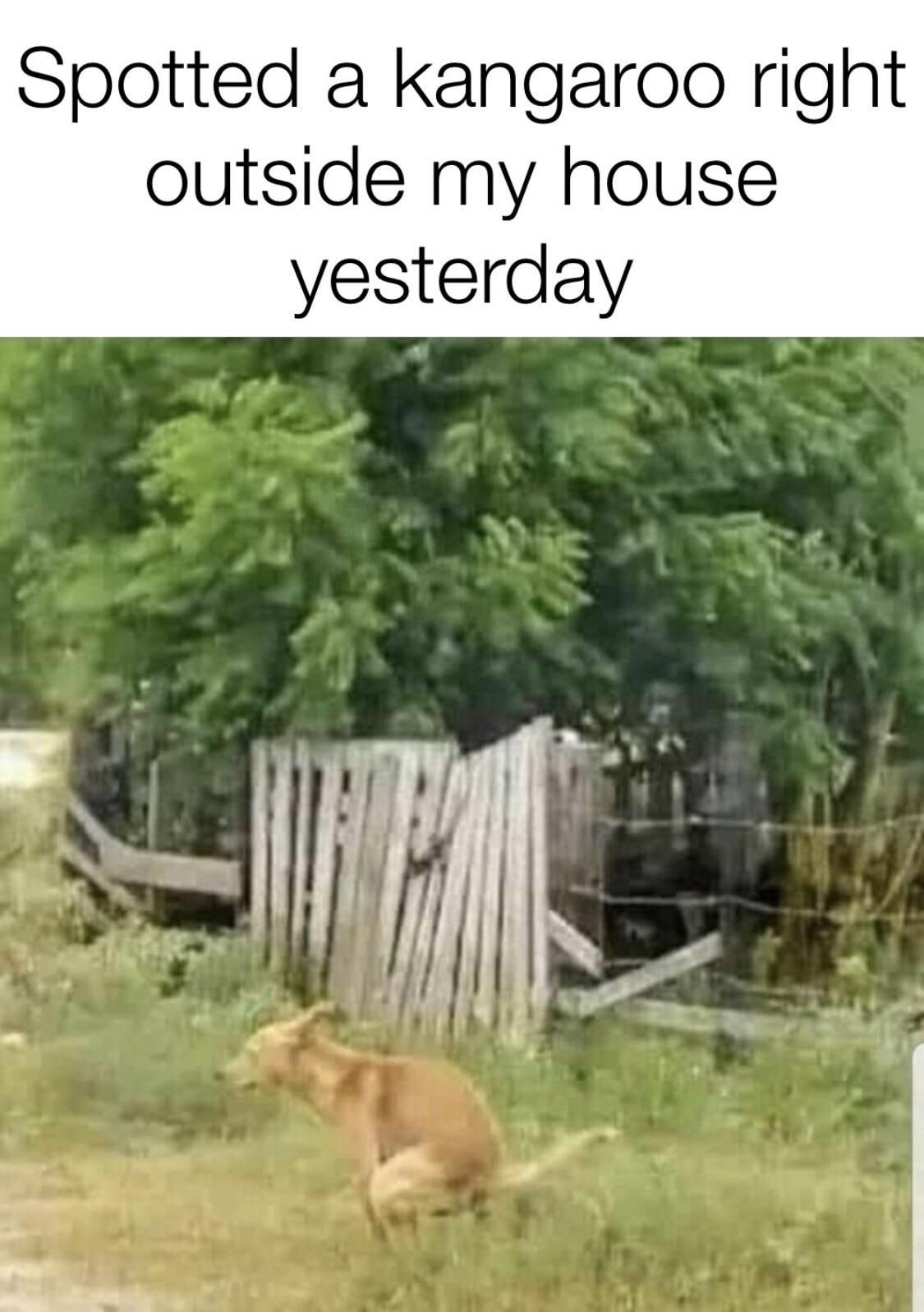 1630498748144.png