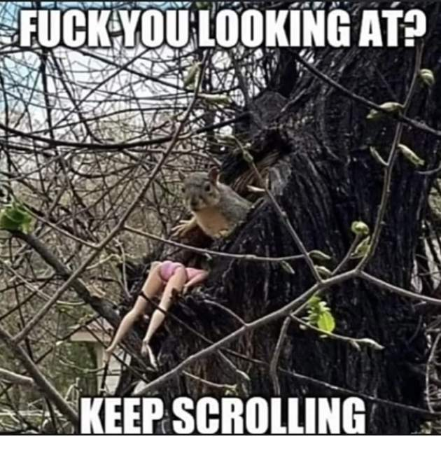 1630715844531.png