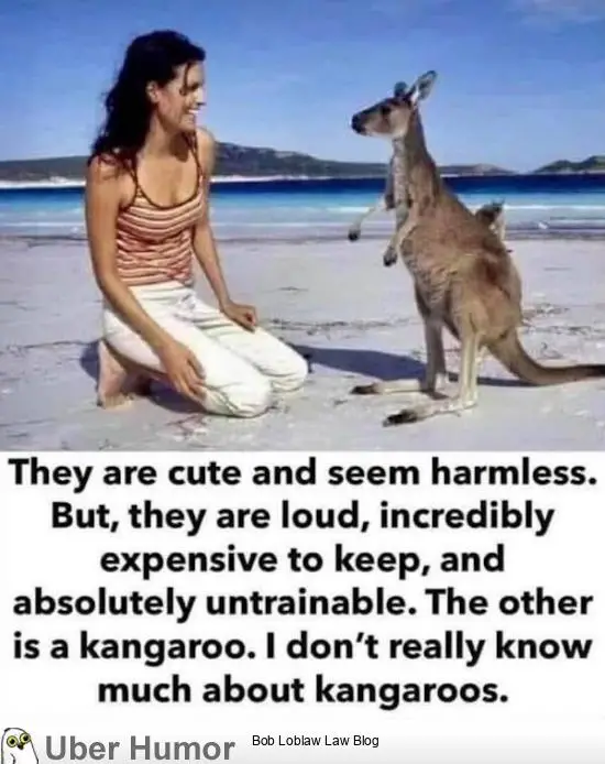 1630720586953.png