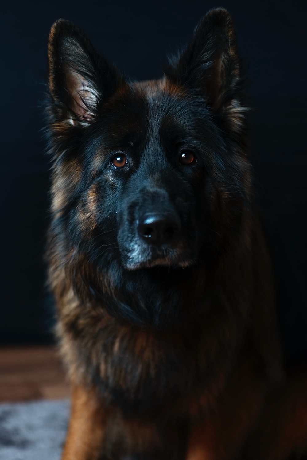 1630841716708.png