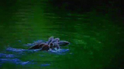 1630940895_ln9jssuc52.gif