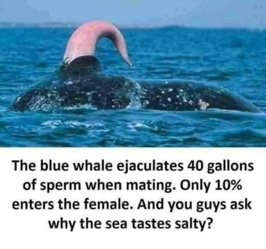 1630948244487.png
