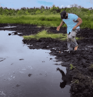 1631043152_1tstgo78tt.gif