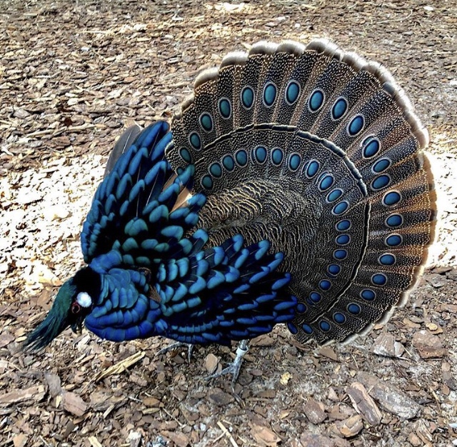1631107637942.png