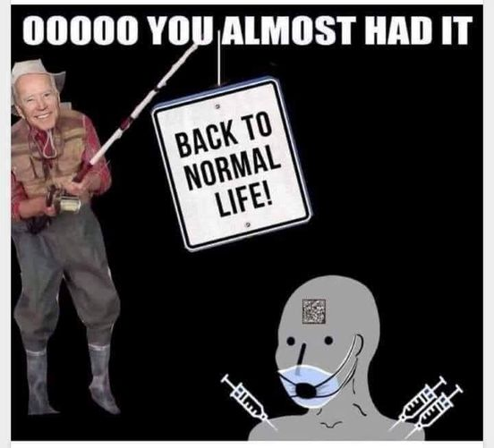 1631307363037.png